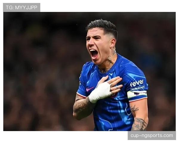 恩佐与卡马文加的中场角色差异：战术定位与结构适配性解析